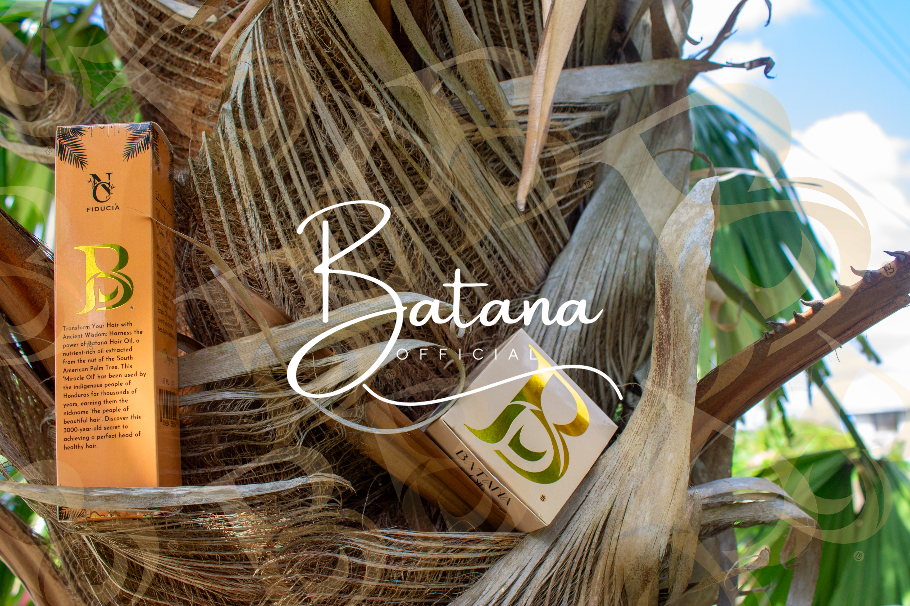 Pure Batana Oil bottle for hair growth