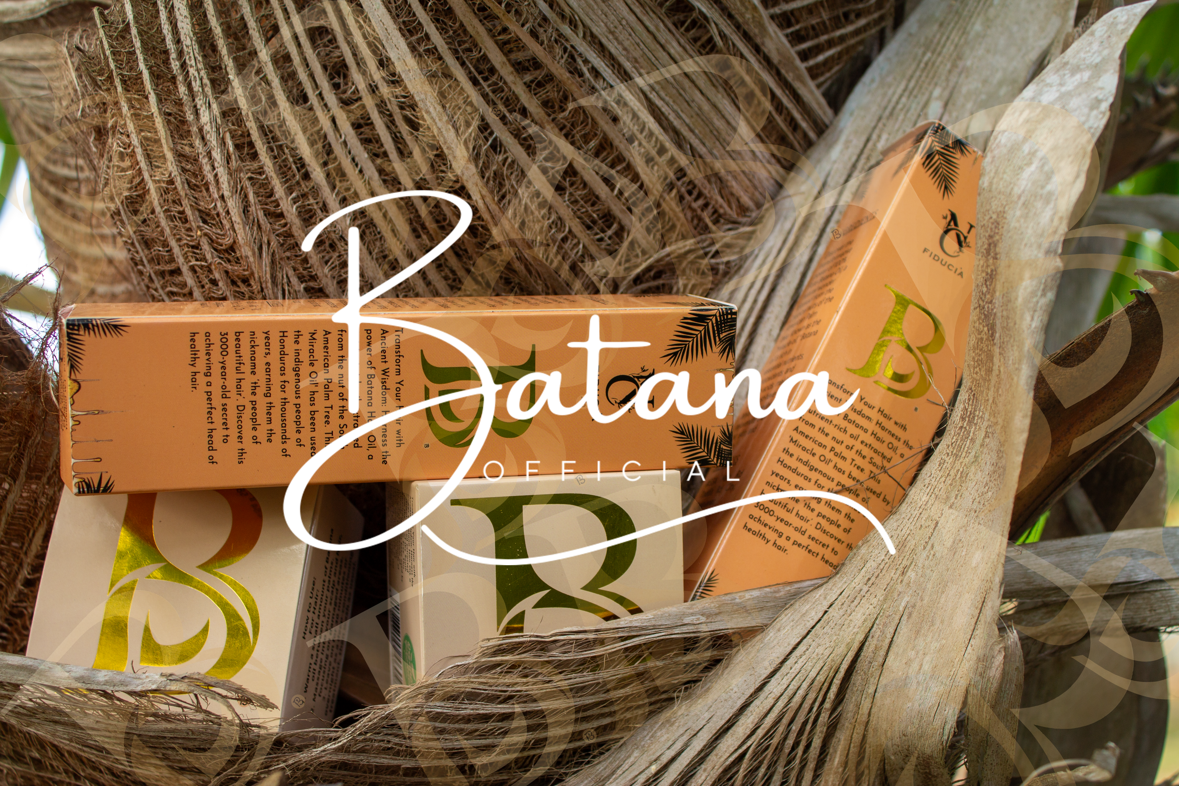 Pure Batana Oil bottle for hair growth